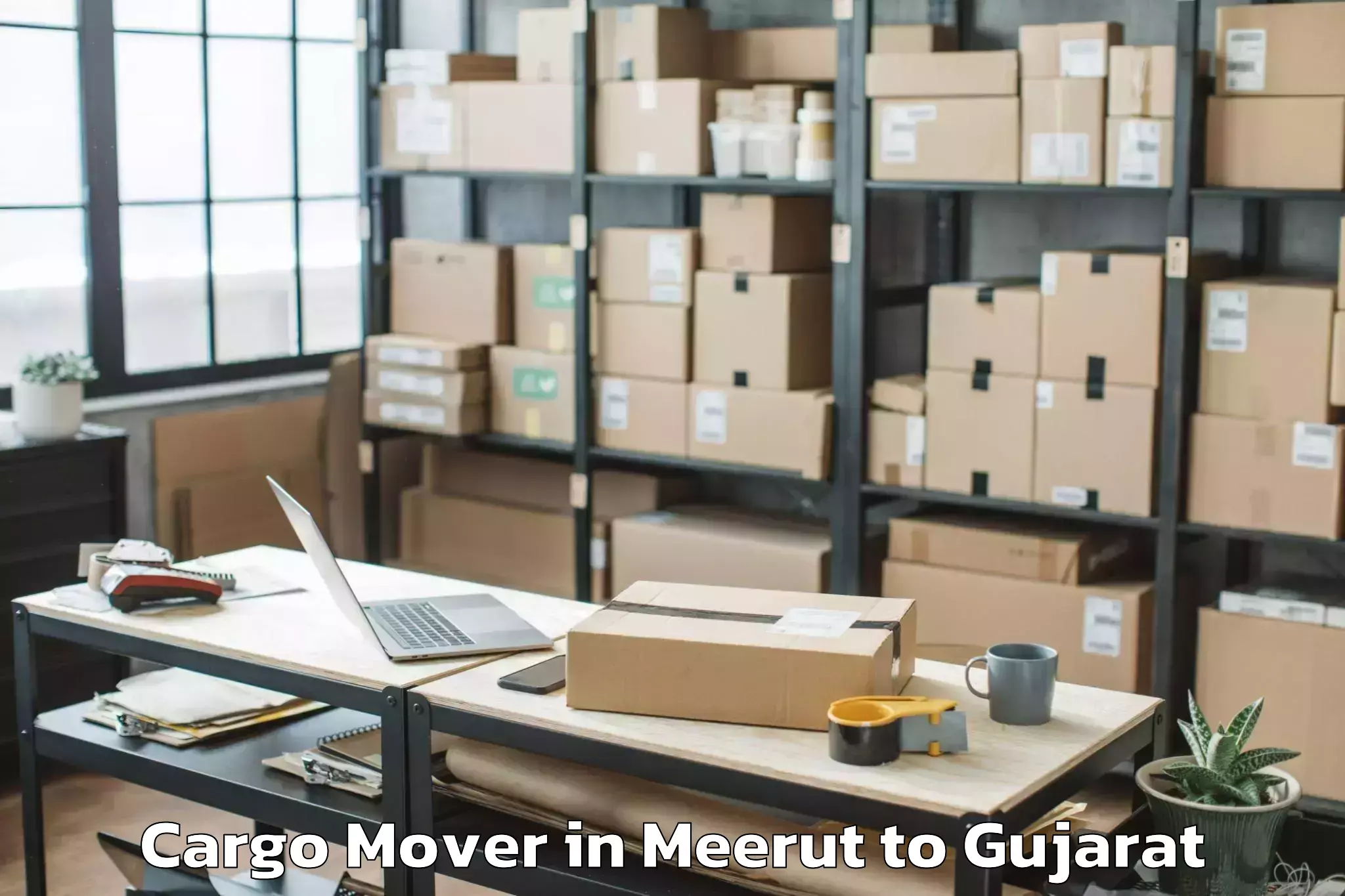 Get Meerut to Jhagadia Cargo Mover